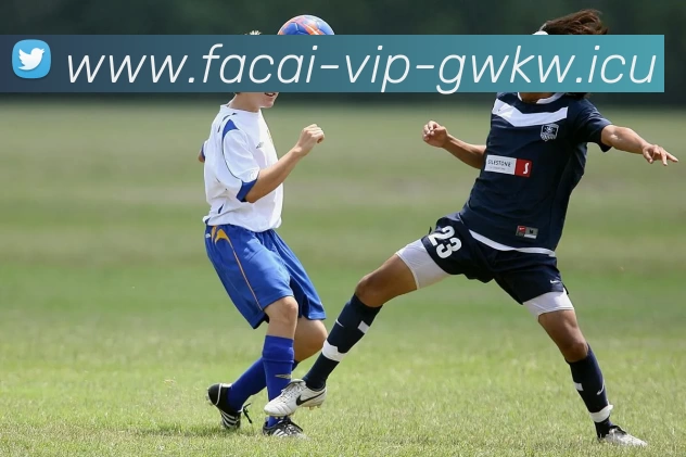 开云体育注册APP 封面图